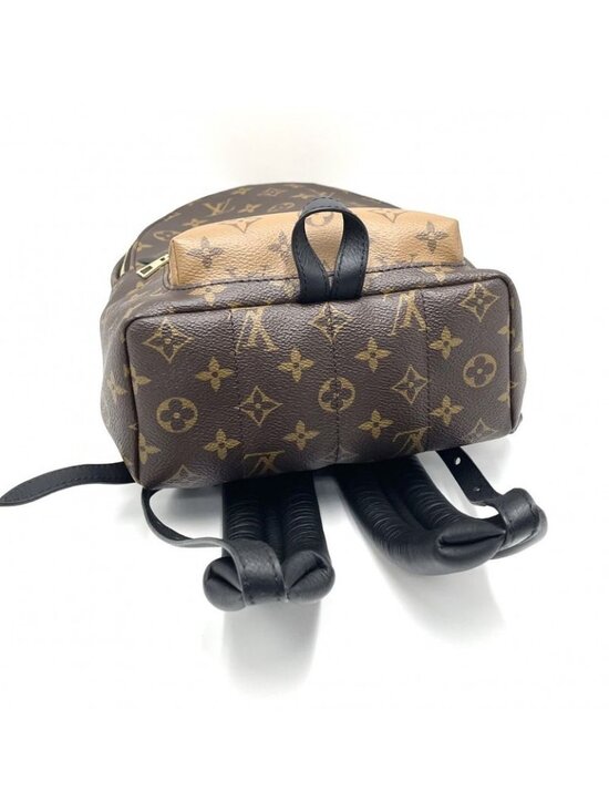 Louis Vuitton Backpack Monogram Palm Spring PM Brown main image 4